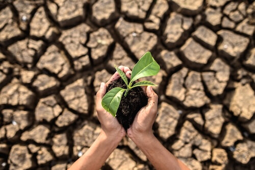 Sustentabilidade usando pré-moldados